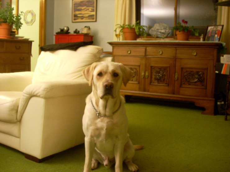 Ollie_Dec05_2009 013.jpg